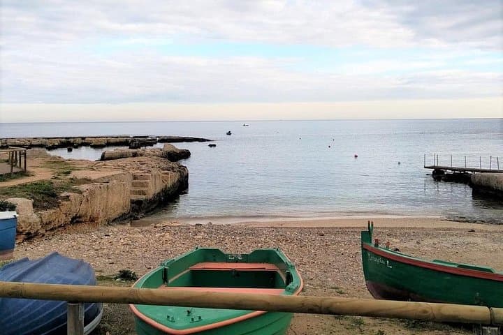 Tour of Polignano a Mare in Ape Calessino