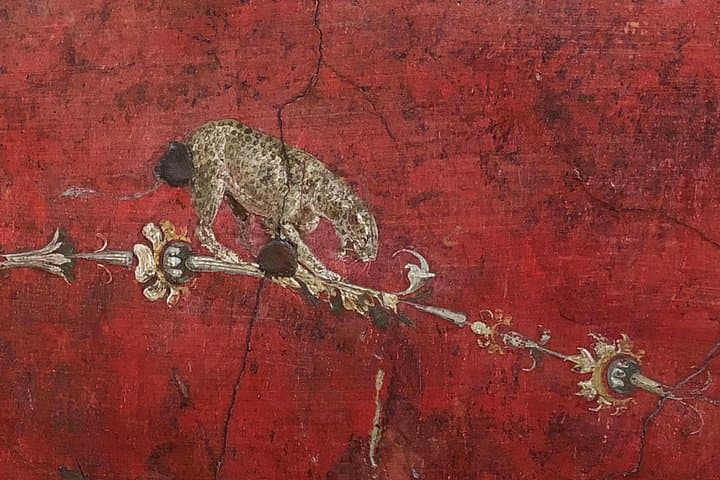 Pompeii - Fresco represents a feline walking on a garland of flower. The colors are still vibrant after 2000 years! Do you have any idea about the way the ancient Romans produced colors?...