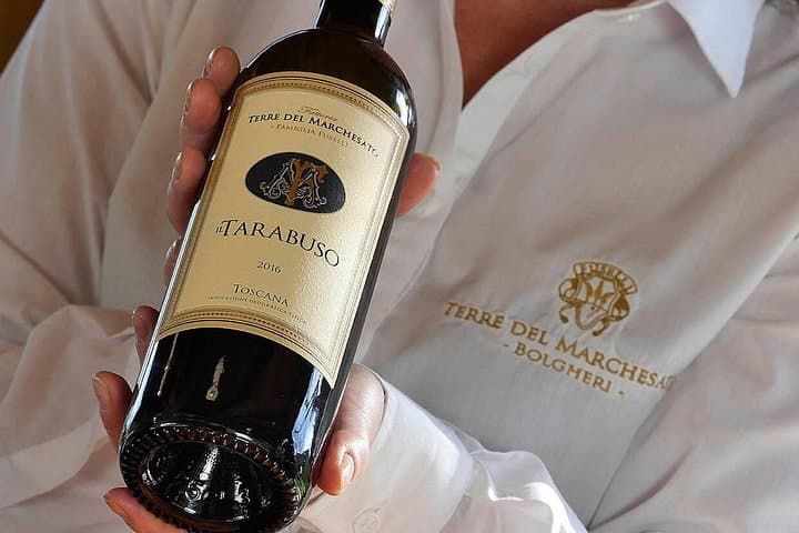 Bolgheri: Premium Wine Tasting with Winery Tour