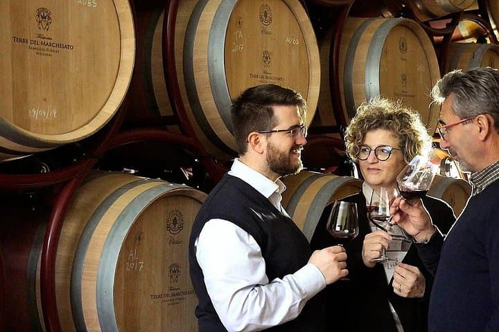Bolgheri: Premium Wine Tasting with Winery Tour