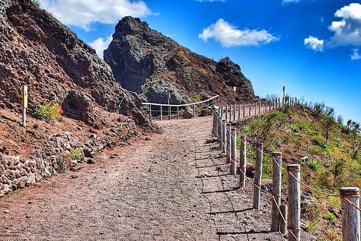 From Sorrento: Mount Vesuvius Tour with Entry Ticket & Lunch