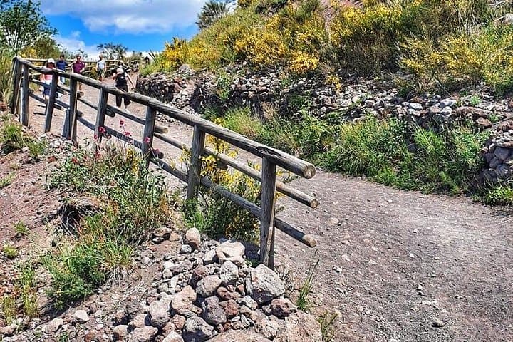 From Sorrento: Mount Vesuvius Tour with Entry Ticket & Lunch