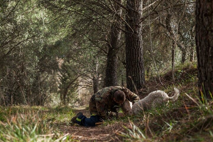 Truffle Lunch & Hunting Experience in San Gimignano