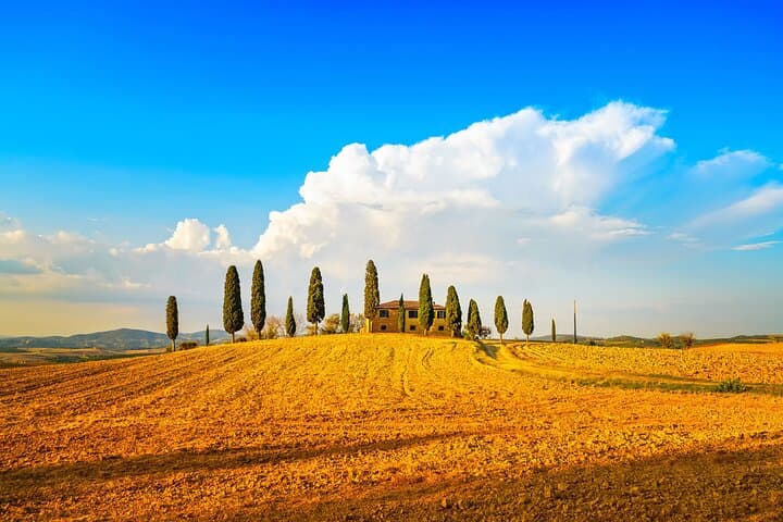 Private Tuscany Wine Country Day Trip from Rome with Lunch