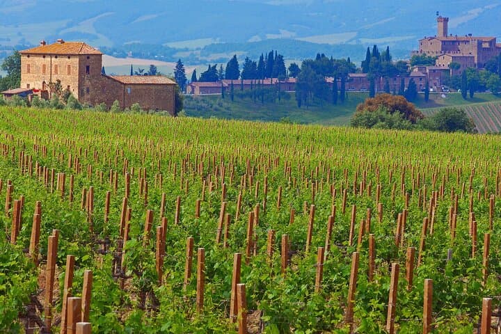Private Siena walking tour