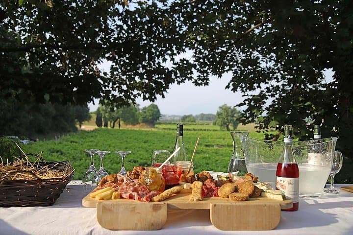 Farm animals and biodynamic wine tasting in Lazise