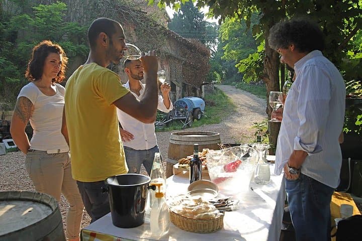 Farm animals and biodynamic wine tasting in Lazise