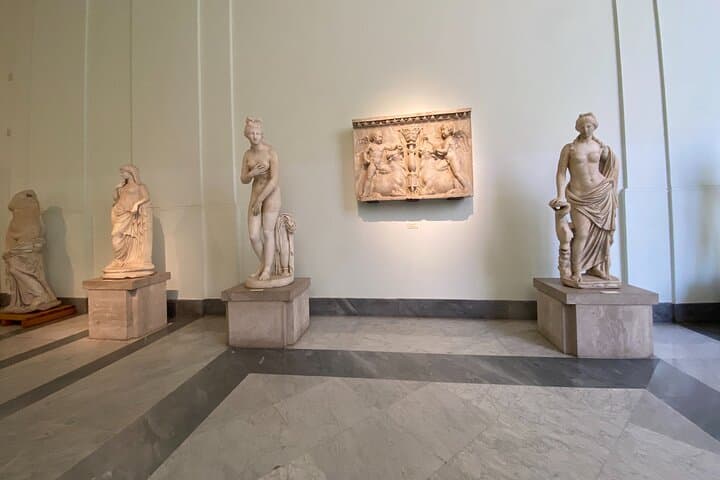 Private Tour of the National Archaeological Museum of Naples