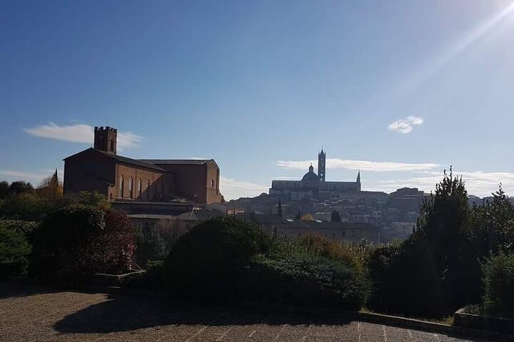 Florence and Siena Private Full-Day Tour from Rome