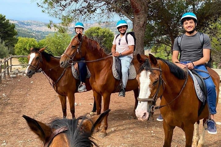 Private Horse Ride Adventure in Modica with Instructor