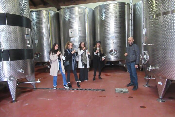 Private Emilian Food and Wine Tasting Tour in Modena