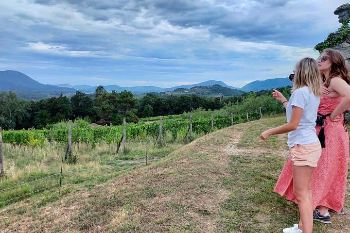 Private wine tour on the wonderful hills of Lucca
