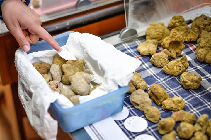 Alba Truffle Fair: Guided Tour and Skip-the-Line Access