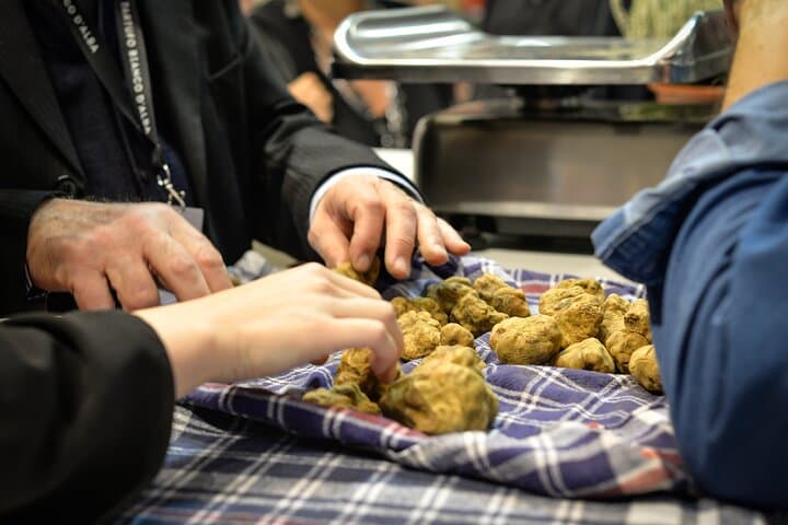 Alba Truffle Fair: Guided Tour and Skip-the-Line Access