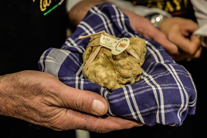 Alba Truffle Fair: Guided Tour and Skip-the-Line Access