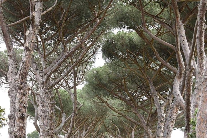 Castel Gandolfo - with private drop on and drop off