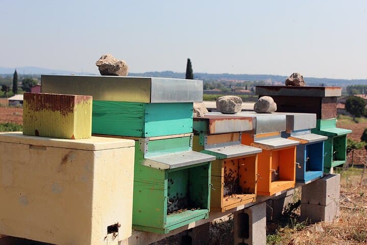Beekeeping Farm Tour and Tasting Experience in Lazise