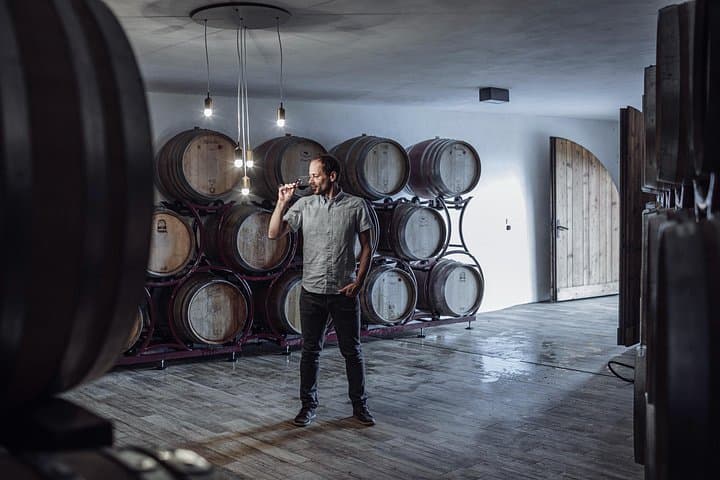 Guided winery tour with tasting in Bolzano at the SKYWINE PAVILLON