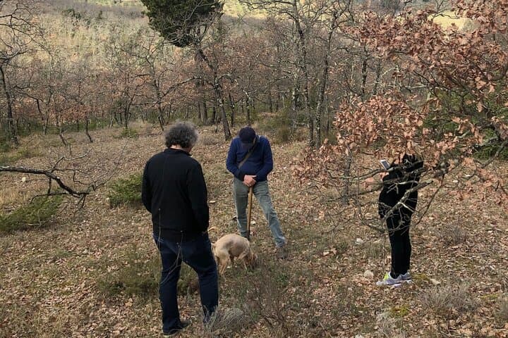 Private Truffle Hunt in Tuscany