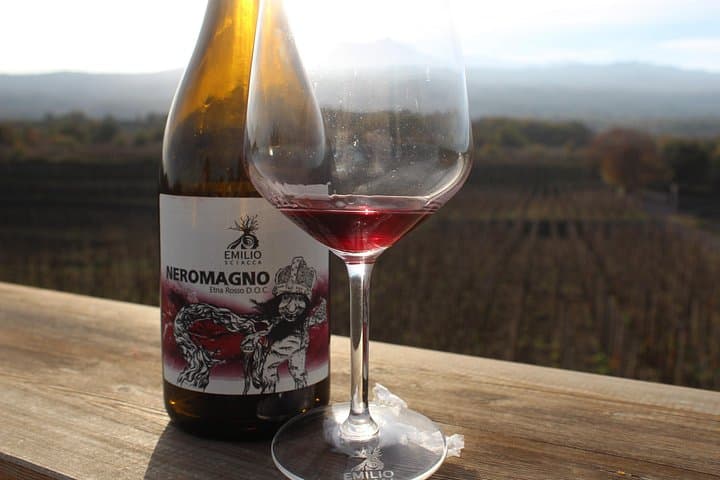 Etna Wine and Alcantara with lunch