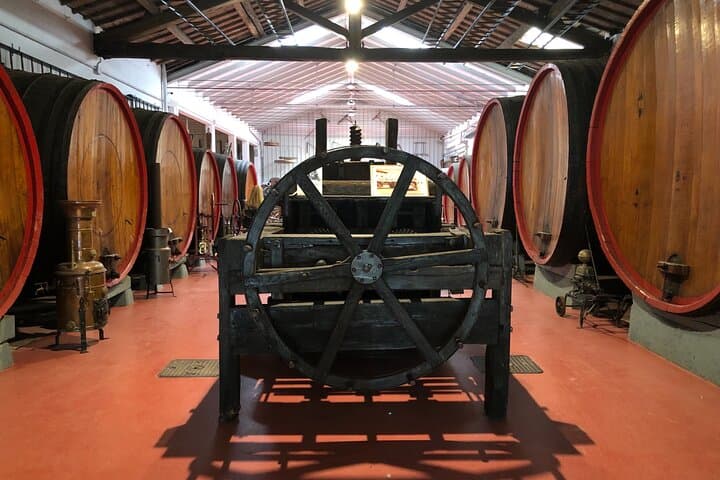 All In: Lambo,Ferrari,Balsamic,Wine, Parmigiano, PrivateTransport