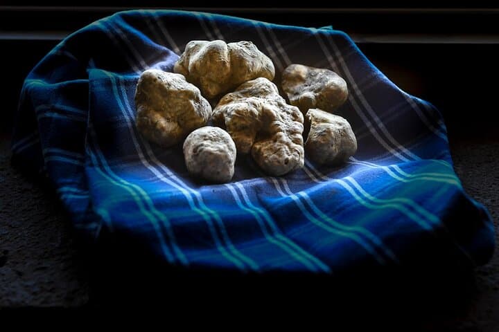 Truffle Hunting and Handmade Pasta in Ascoli Piceno