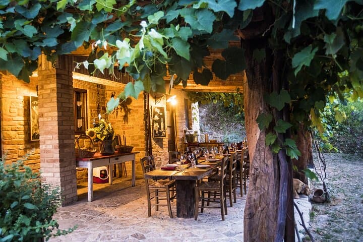 Truffle Hunting and Handmade Pasta in Ascoli Piceno