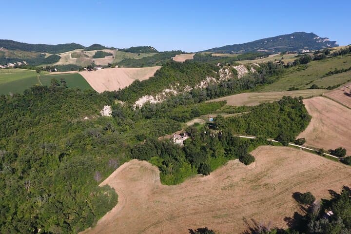 Truffle Hunting and Handmade Pasta in Ascoli Piceno