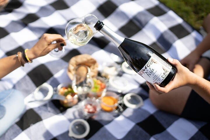 Winery Tour & picnic in the vineyard with a bottle of wine