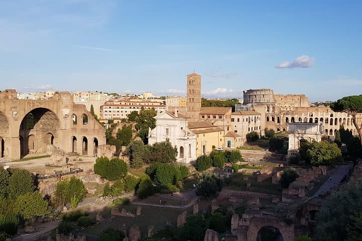 PRIVATE Colosseum, Roman Forum and Palatine Hill half day tour