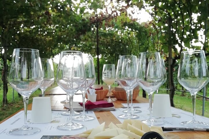 From Venice: day trip to the Prosecco hills with wine tasting