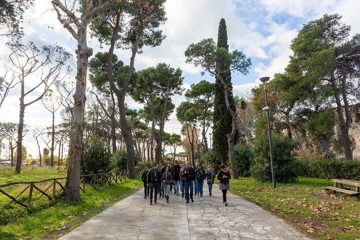 Pompeii from Rome: Coach Roundtrip and Entrance