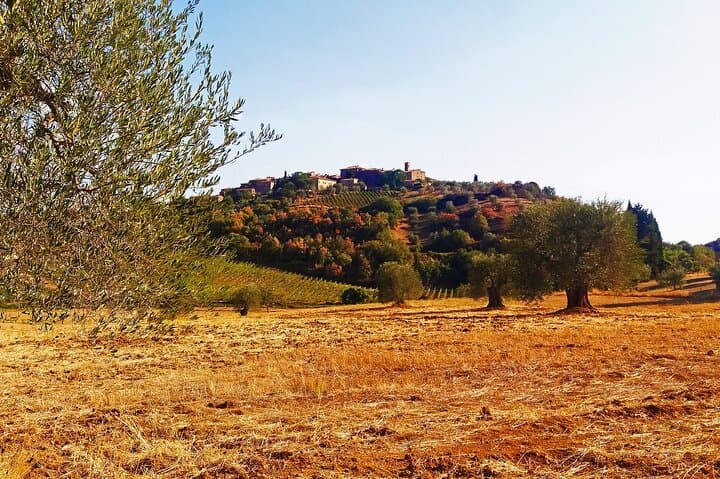 Full-Day Small-Group Tour in Montepulciano