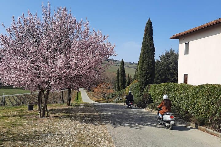 Private Chianti Countryside Vespa Tour from Florence