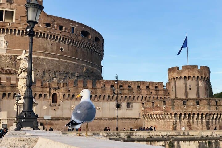 Castel Sant'Angelo, Gabbiano - Rome