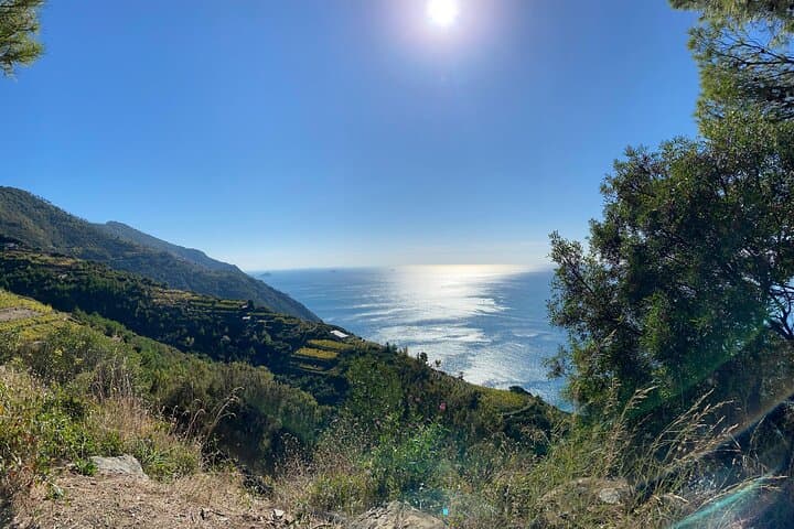 From FLORENCE: Guided tour of breathtaking Coast of Cinque Terre