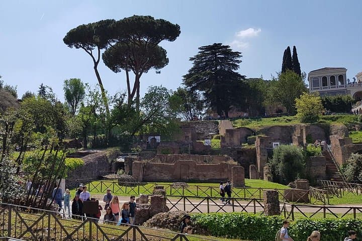 Colosseum Arena Floor, Roman Forum & Palatine Hill Guided Tour