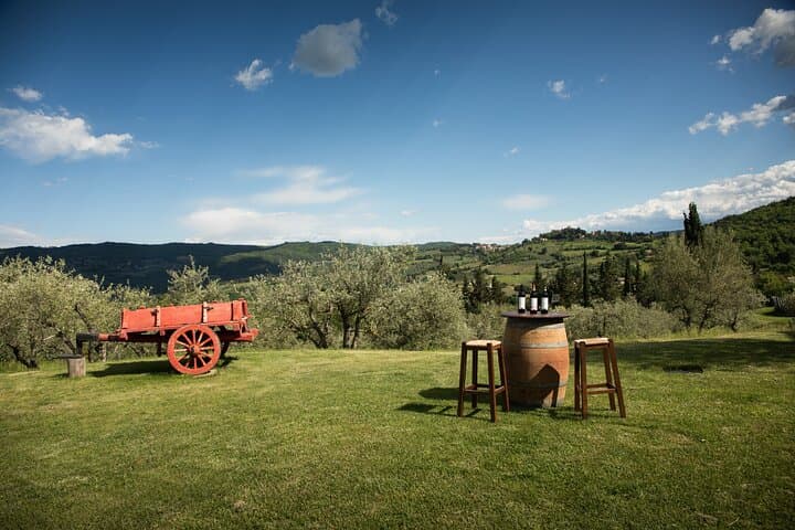 Immersed in the green of Chianti