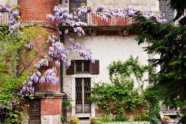 The secrets of Brera Private Tour: the district & Pinacoteca guided tour