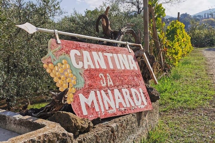 Half-Day Minardi Wine and Food Tour in Frascati
