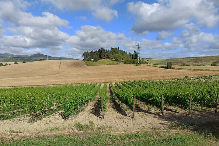PRIVATE EXCURSION: Volterra & San Gimignano + wine tastings (from Livorno Port)