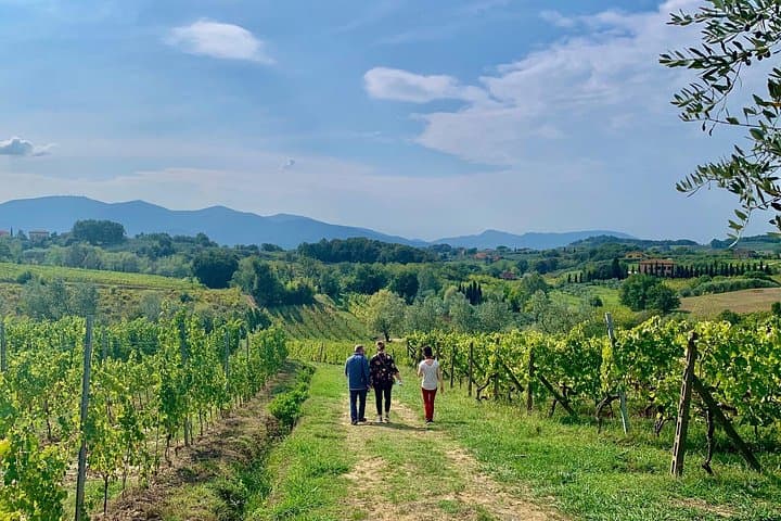 Montepulciano Pienza Montalcino Tour from Florence