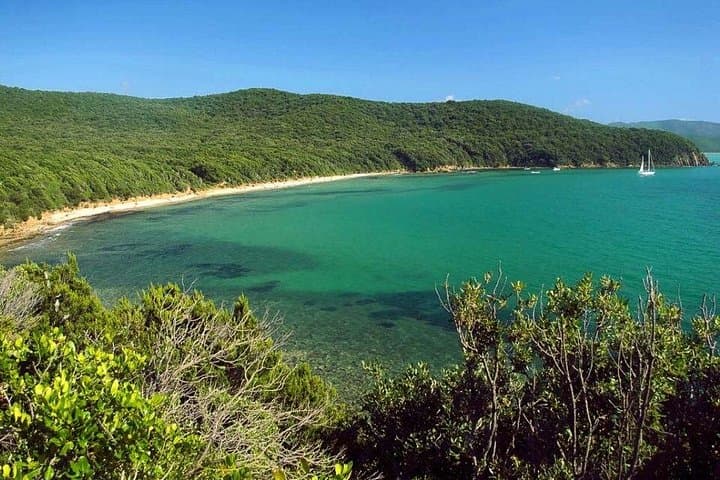 Private Boat Excursion with Lunch or Aperitif to the Calette di Scarlino
