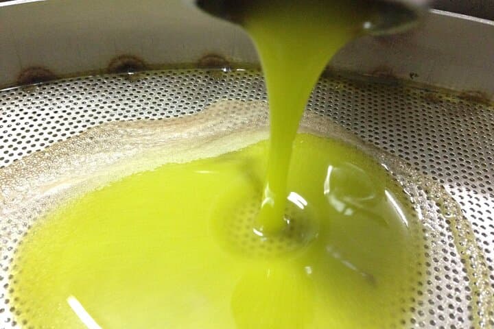 Olive Oil Mill experience and tasting in Salento with Guide