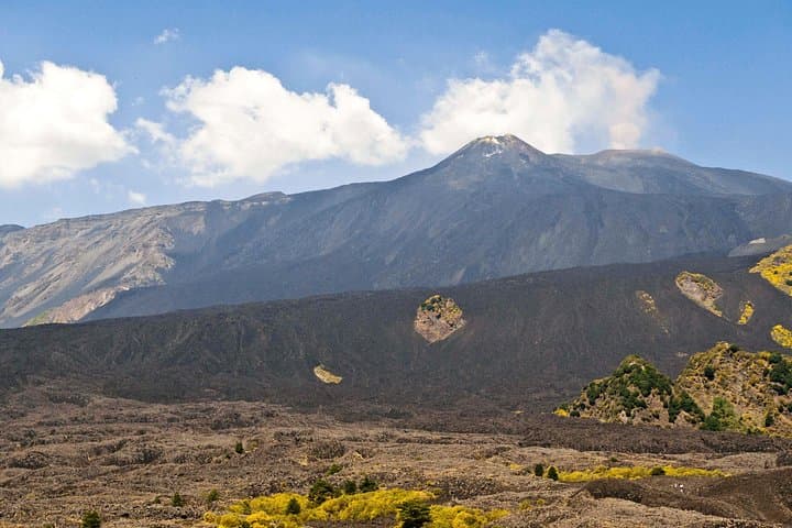 Private Mt. Etna 4WD Half Day Adventure