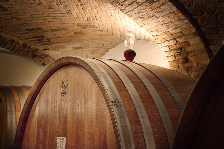 Langhe (Piedmont): Wine Tasting Experience