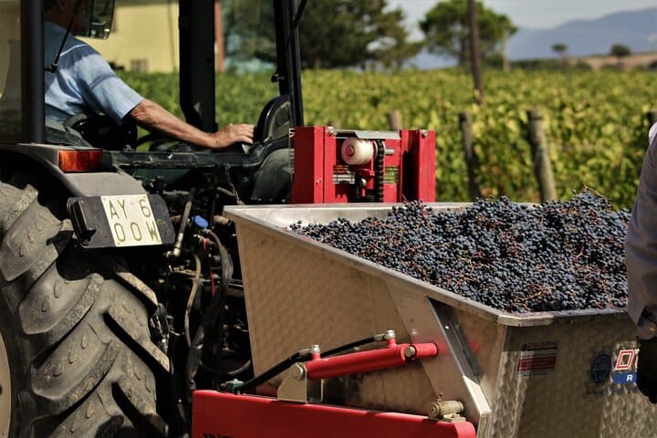 Tasting Selection of 4 wines in Montefalco