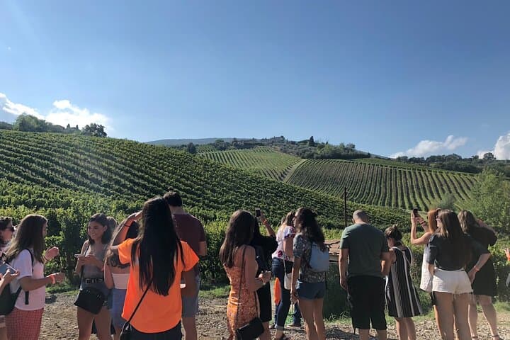 Exploring the vineyards