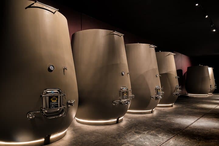 Valpolicella Wine Tasting Experience & Light Lunch