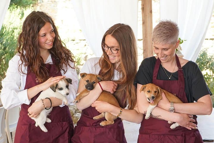 Wine and food tasting in an organic family winery